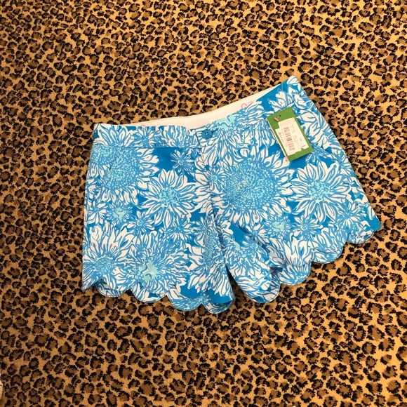 Size 0 buttercup shorts - Picture 1 of 2